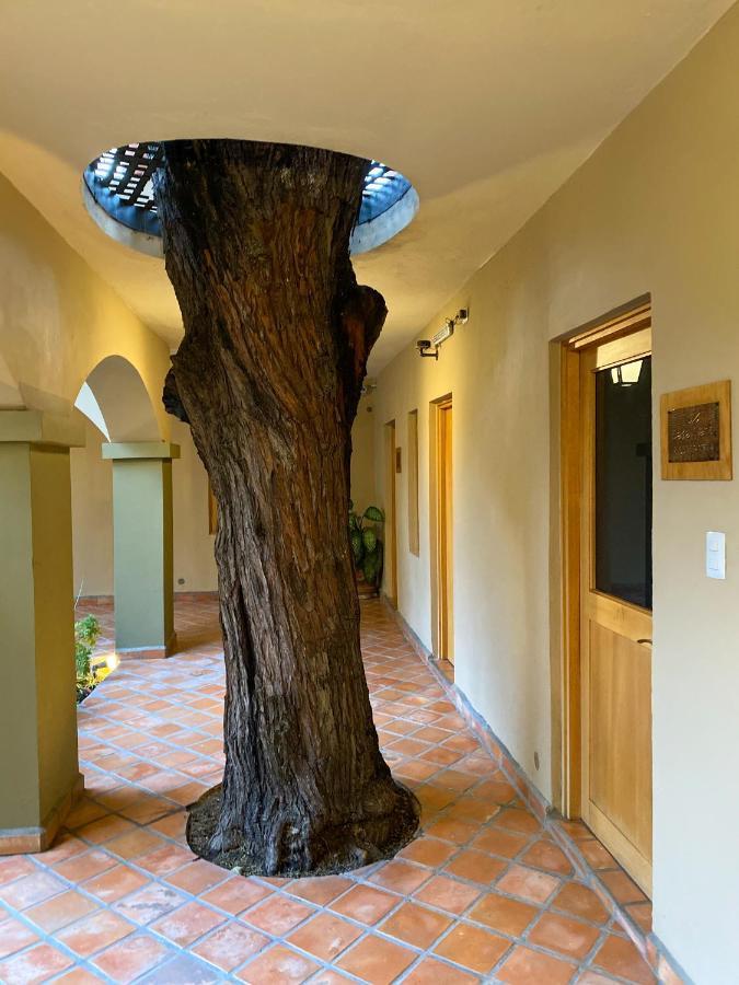 Casa Nare Adults Only Hotel ซานมิเกล เด อาเญนเด ภายนอก รูปภาพ